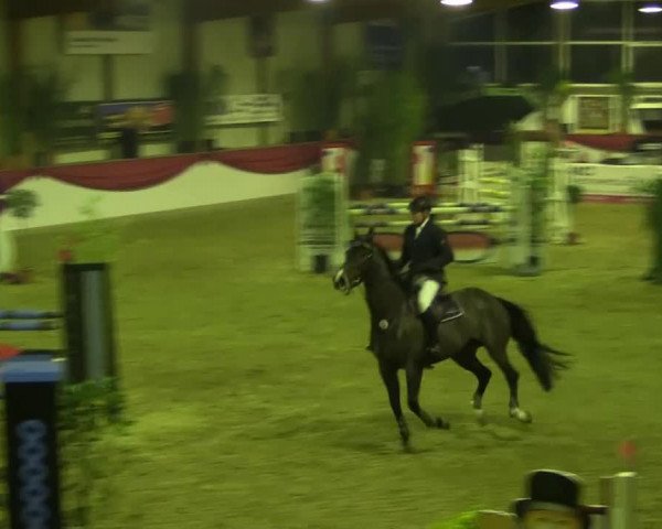 jumper Jazzmin Paperclick (Oldenburg, 1999, from Junior de Pommes)