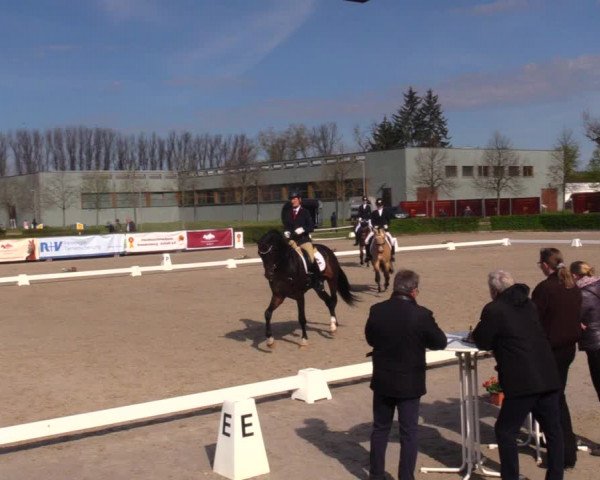 Reitturnier Neustadt/Dosse 2021