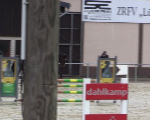 Reitturnier Olfen-Vinnum 2021