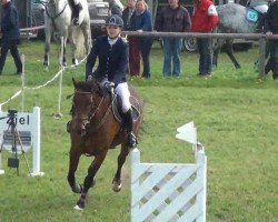 jumper Taniemara (Hanoverian, 2000, from Metternich)