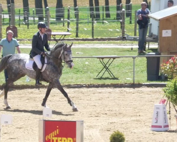 Reitturnier Zoltingen/Schw. 2021