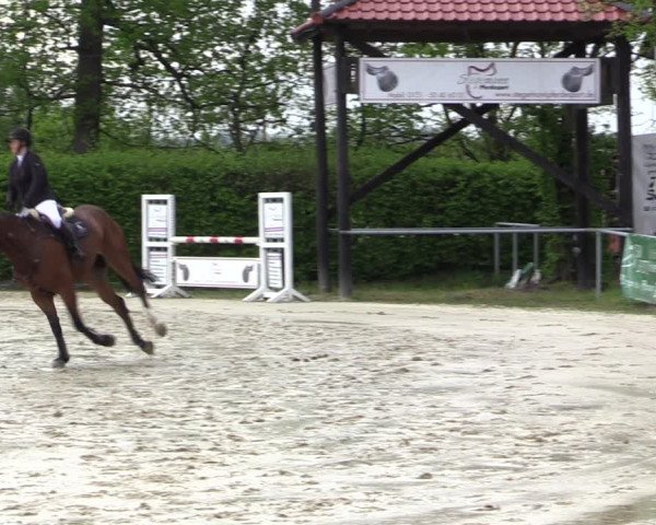 Reitturnier Olfen-Vinnum 2021