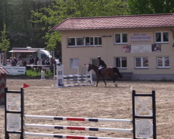 Reitturnier Lgl.-Oberhain, B95 2021