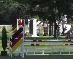 broodmare Upsalla IV (Holsteiner, 2004, from Cassini II)