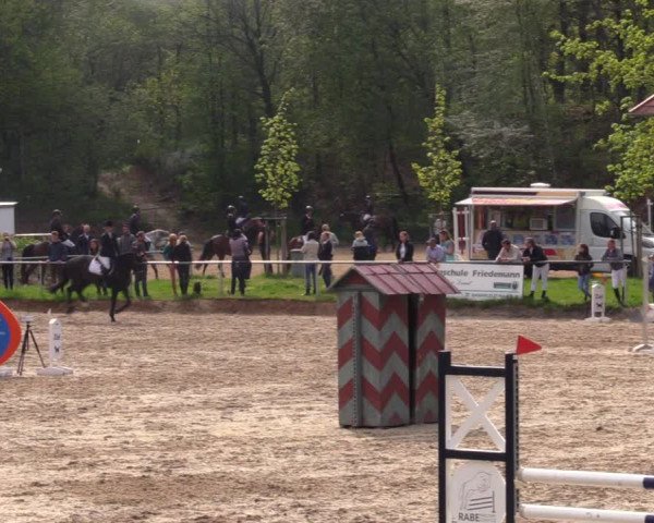 Reitturnier Lgl.-Oberhain, B95 2021
