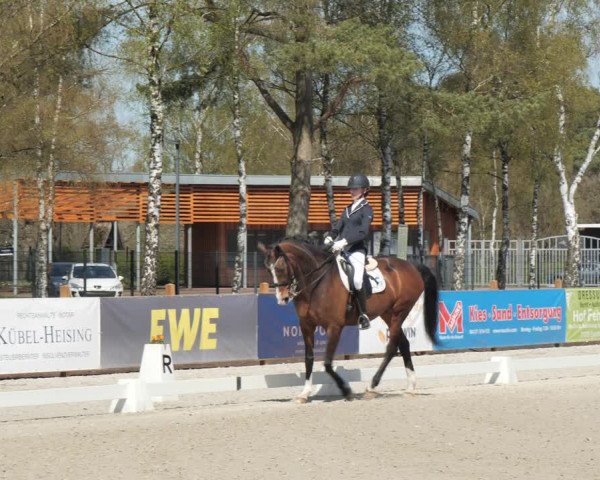 Reitturnier Westergellersen 2021