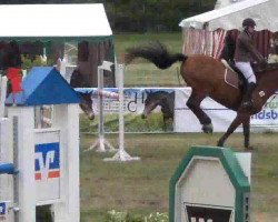 jumper Vielleicht Lilly (Holsteiner, 2005, from Landos)