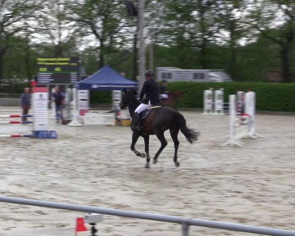 Reitturnier Olfen-Vinnum 2021