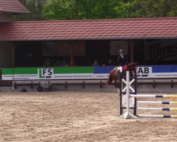 Reitturnier Lgl.-Oberhain, B95 2021