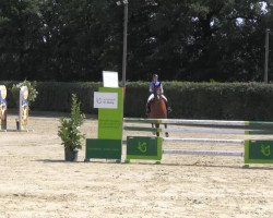 jumper Argento 6 (Oldenburg, 2002, from Argentinus)