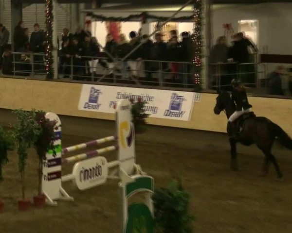 jumper C'Est la Petite (Rhinelander, 2000, from Cordino)