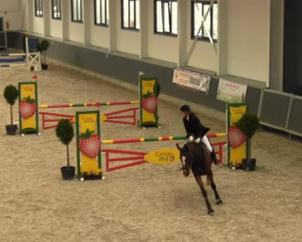 dressage horse Thalaso (Westphalian, 1997, from Gamblers Star)