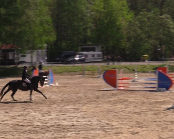 Reitturnier Lgl.-Oberhain, B95 2021