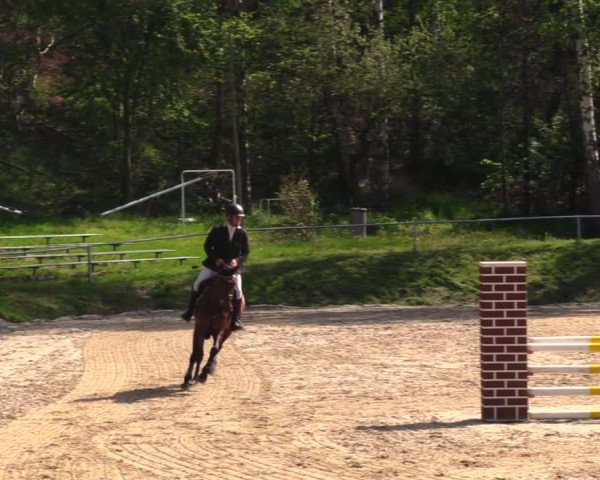Reitturnier Lgl.-Oberhain, B95 2021