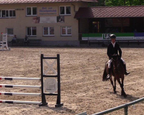 Reitturnier Lgl.-Oberhain, B95 2021