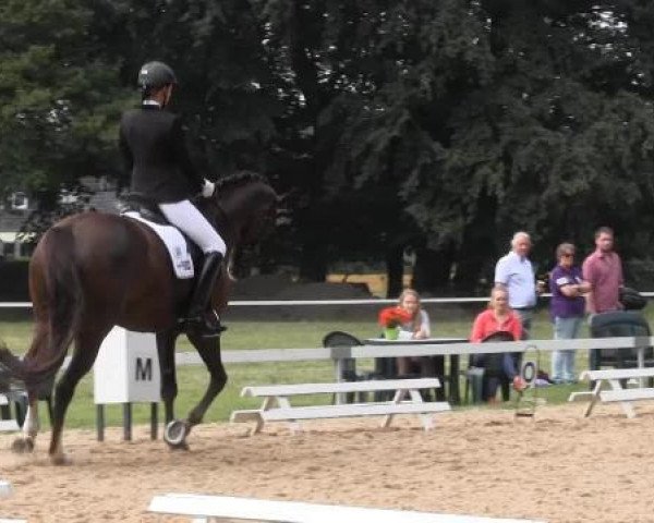 broodmare Liebelotte (Westphalian, 2006, from Laudabilis)