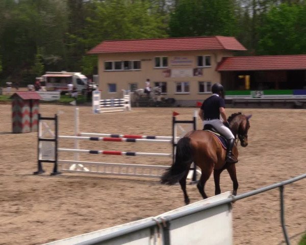 Reitturnier Lgl.-Oberhain, B95 2021