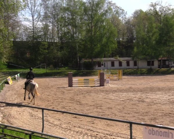 Reitturnier Lgl.-Oberhain, B95 2021