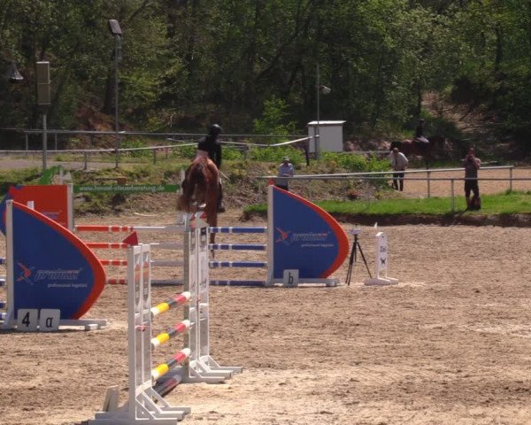 Reitturnier Lgl.-Oberhain, B95 2021