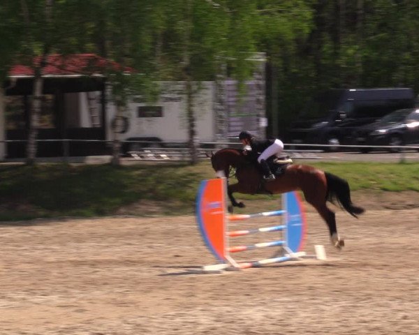 Reitturnier Lgl.-Oberhain, B95 2021