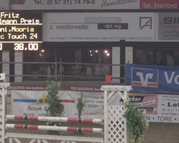 broodmare Classic Touch 24 (Holsteiner, 2006, from Cassini I)