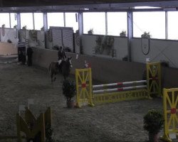 jumper Wingardio (Sachse, 2002, from Weltstern)