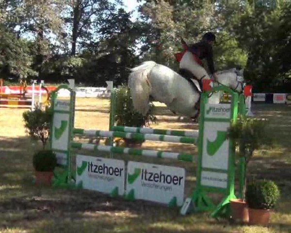 Springpferd Dolany (Deutsches Reitpony, 2006, von Discovery AA)
