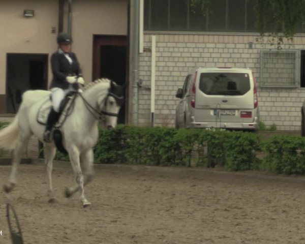 Reitturnier Olfen-Vinnum 2021