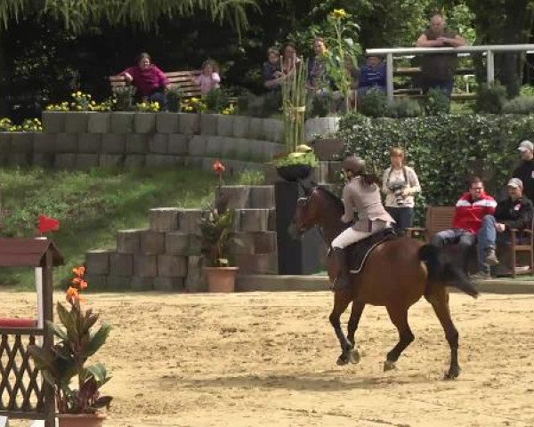 jumper Larino 106 (German Sport Horse, 2005, from Livello)