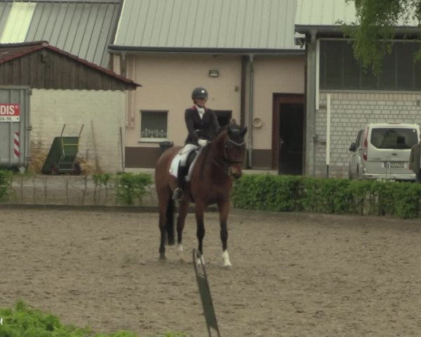 Reitturnier Olfen-Vinnum 2021