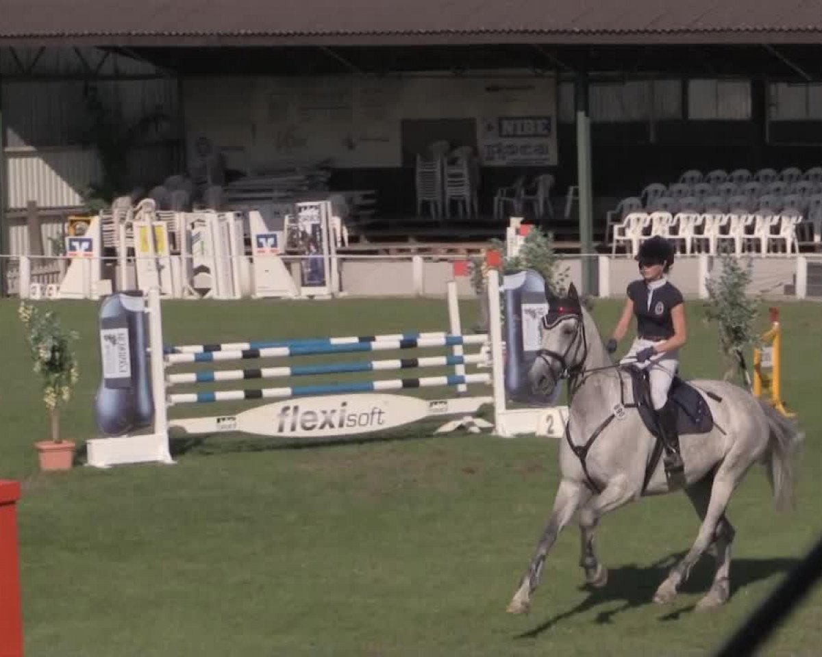 Cavallo da salto Luccatoni 2 (Westfale, 2003, di Landilot)
