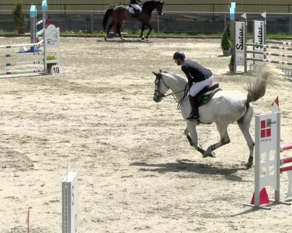 Reitturnier Schaffhausen 2021
