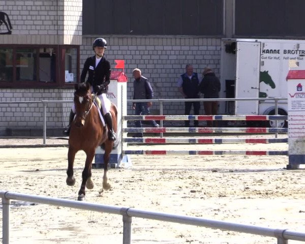 Reitturnier Olfen-Vinnum 2021