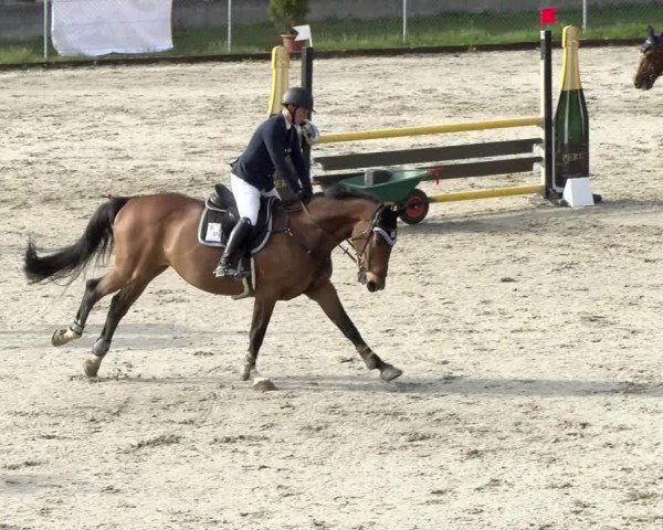 Reitturnier Schaffhausen 2021