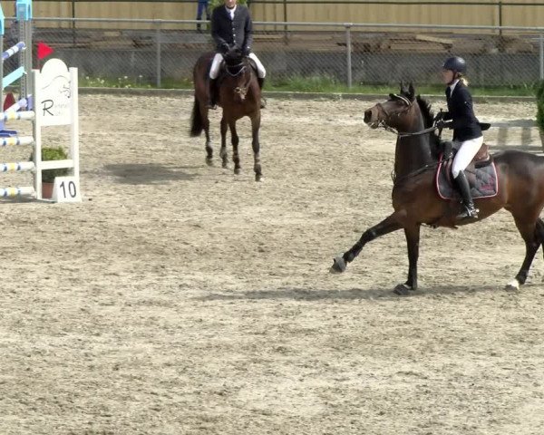 Reitturnier Schaffhausen 2021