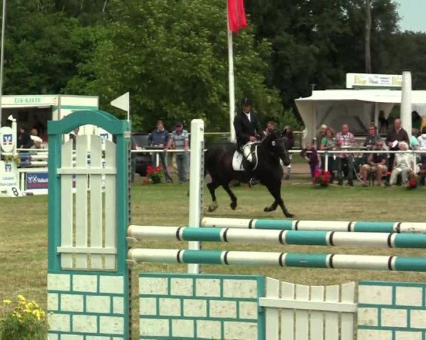 jumper Ria 125 (Hanoverian, 2006, from Rascalino)