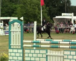 jumper Ria 125 (Hanoverian, 2006, from Rascalino)