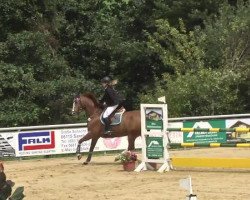 jumper Zalmeo (Oldenburg, 2000, from Zagallo)