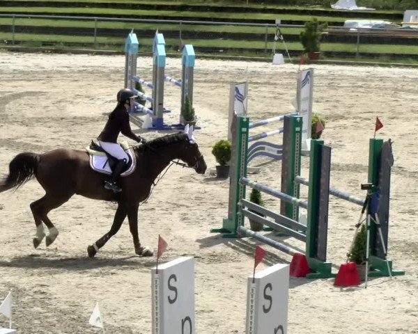 Reitturnier Schaffhausen 2021