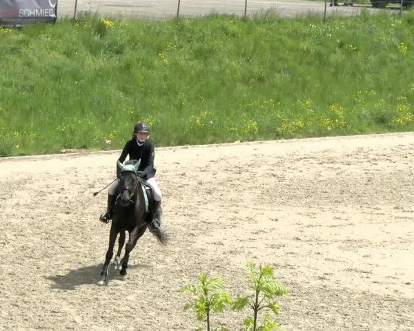 Reitturnier Schaffhausen 2021