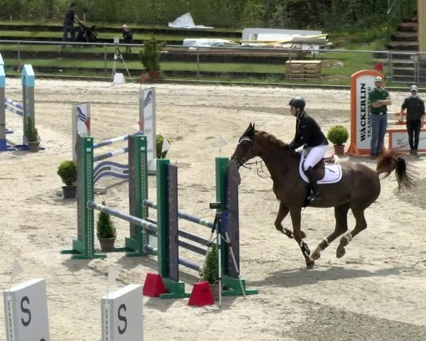 Reitturnier Schaffhausen 2021