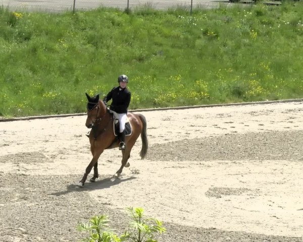 Reitturnier Schaffhausen 2021