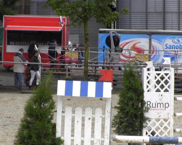jumper Ricard 10 (KWPN (Royal Dutch Sporthorse), 1998, from Lincoln)