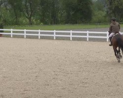 jumper Quidams Clou (Bavarian, 2002, from Quamiro)