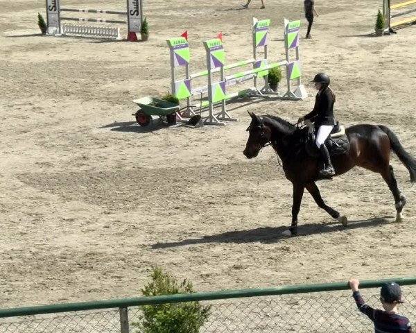 Reitturnier Schaffhausen 2021