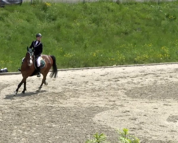 Reitturnier Schaffhausen 2021