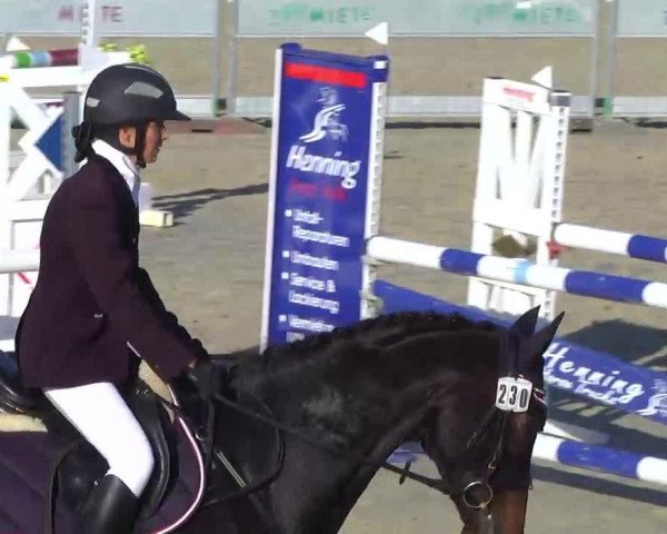 jumper Handsome Light (Württemberger, 2004, from Heraldik xx)