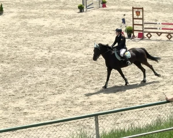 Reitturnier Schaffhausen 2021
