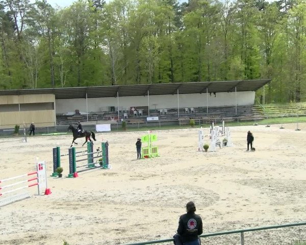 Reitturnier Schaffhausen 2021