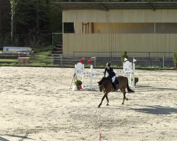 Reitturnier Schaffhausen 2021